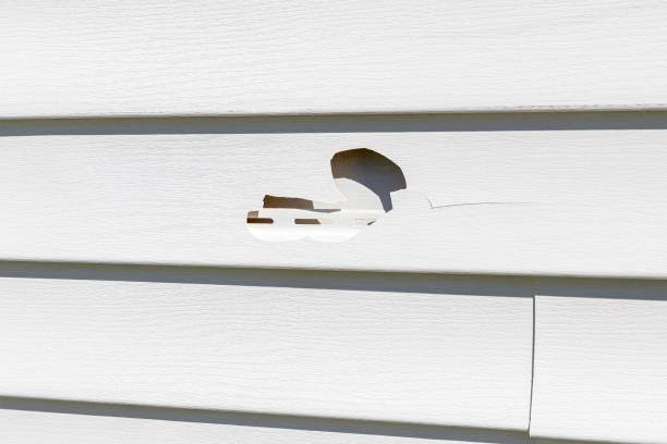 Best Stone Veneer Siding  in Lake Stevens, WA